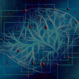 How to Optimise for AI Search