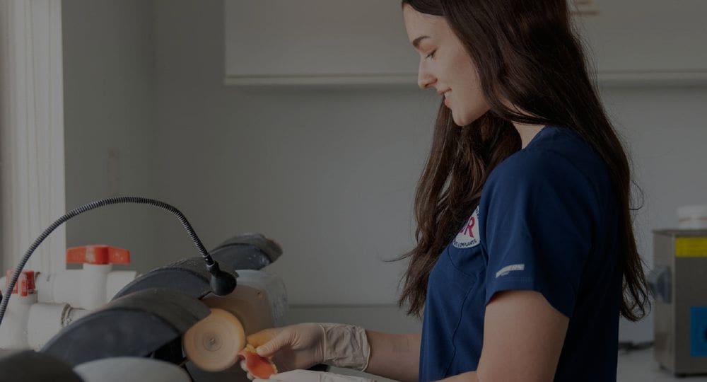 Case Study: SEO Website Build for InPoland.Dentist