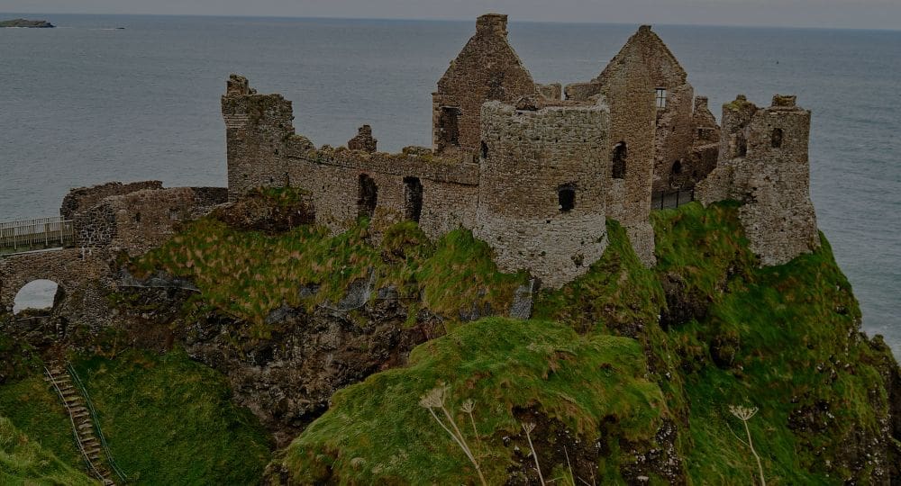 Case Study: Go to Ireland Today