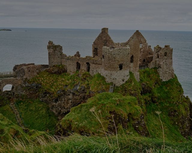 Case Study: Go to Ireland Today