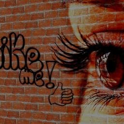 Common SEO Myths That Still Trip Up Small Business Owners